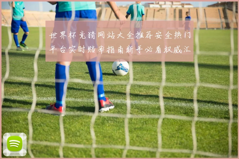 世界杯竞猜网站大全推荐安全热门平台实时赔率指南新手必看权威汇总