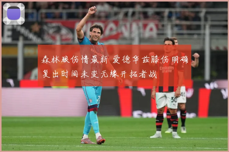 森林狼伤情最新 爱德华兹膝伤明确复出时间未变无缘开拓者战