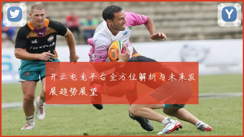 开云电竞平台全方位解析与未来发展趋势展望