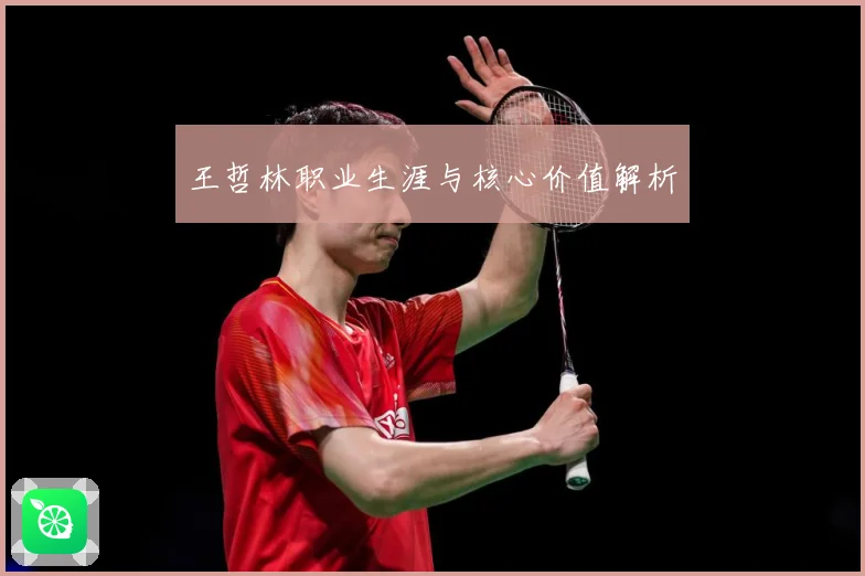 王哲林职业生涯与核心价值解析