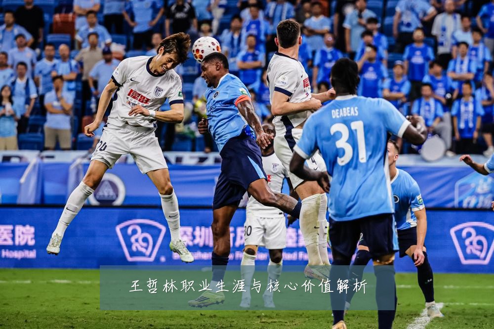 王哲林职业生涯与核心价值解析