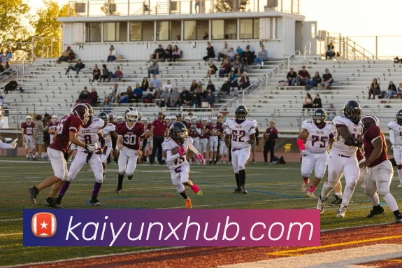 开云平台展示图